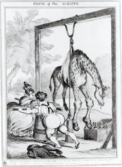 Stan żyrafy, 1829 r. autorstwa William Heath