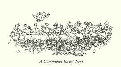Ptasie gniazdo gminy (lito) autorstwa William Heath Robinson