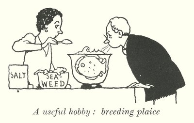 Przydatne hobby, hodowla gładzicy (lito) autorstwa William Heath Robinson
