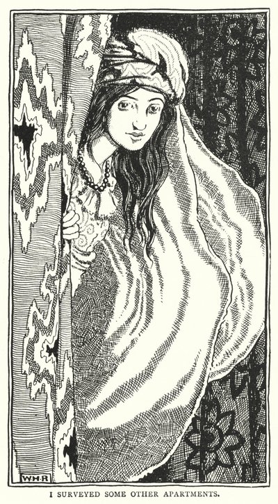 Zbadałem kilka innych mieszkań (grawerowanie) autorstwa William Heath Robinson