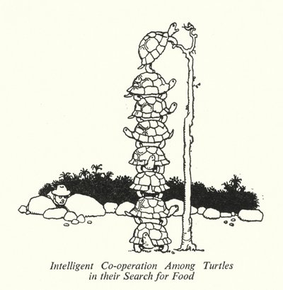 Inteligentna współpraca żółwi w poszukiwaniu pożywienia (lito) autorstwa William Heath Robinson