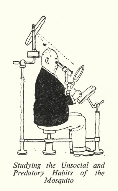 Badanie niespołecznych i drapieżnych nawyków komara (litografia) autorstwa William Heath Robinson