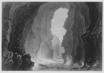 Jaskinia Dunkerry, hrabstwo Antrim (rycina) autorstwa William Henry (after) Bartlett
