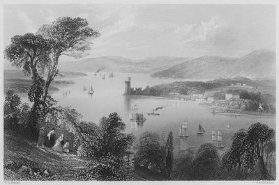 Rzeka Cork, spod Glanmire Road (grawerowanie) autorstwa William Henry (after) Bartlett
