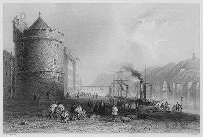 Quay Waterford, z Wieżą Reginalda (rycina) autorstwa William Henry (after) Bartlett