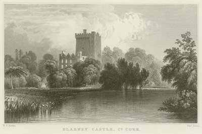 Zamek Blarney w hrabstwie Cork autorstwa William Henry Bartlett