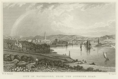 Miasto Waterford autorstwa William Henry Bartlett