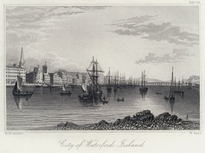 Miasto Waterford, Irlandia (grawerowanie) autorstwa William Henry Bartlett