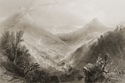 Glen of the Downs, hrabstwo Wicklow, Irlandia, z „Krajobrazy i starożytności Irlandii” George