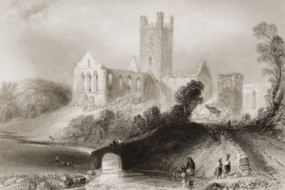 Opactwo Jerpoint, hrabstwo Kilkenny, Irlandia, z „Krajobrazy i starożytności Irlandii” George