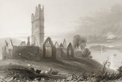 Opactwo Moyne, hrabstwo Mayo, Irlandia, z „Krajobrazy i starożytności Irlandii” George