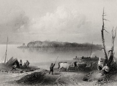 Navy Island, Niagara River, Ontario, Kanada, grawerowane przez Charlesa Coulsona (1815-89) autorstwa William Henry Bartlett