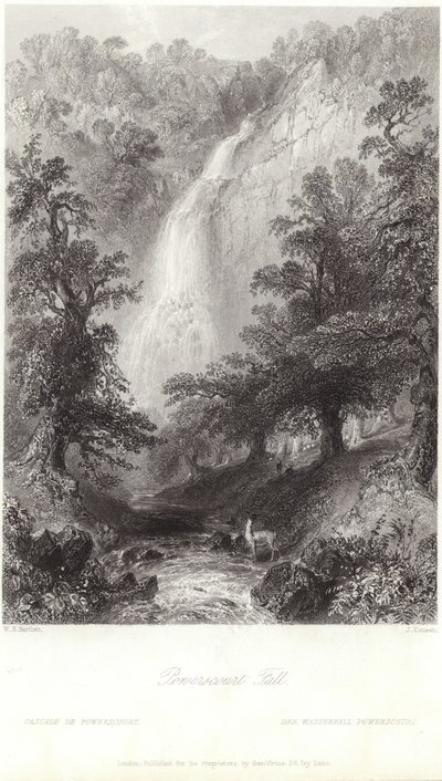 Powerscourt Fall na rzece Dargle autorstwa William Henry Bartlett
