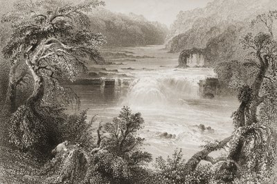 Salmon Leap at Leixlip, County Kildare, z "Scenery and Antiquities of Ireland" George
