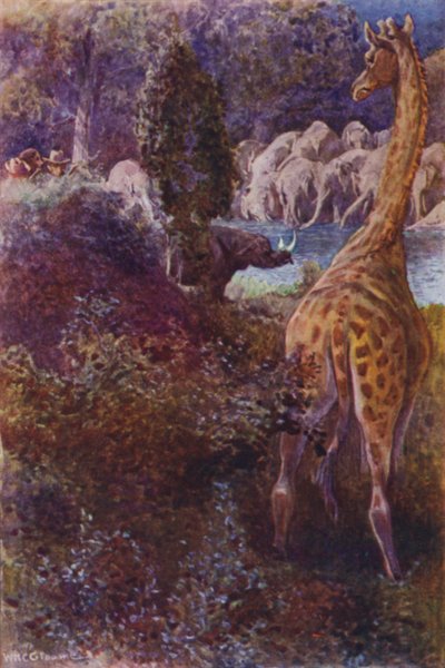 Ilustracja do The Gorilla Hunters autorstwa RM Ballantyne (kolor lito) autorstwa William Henry Charles Groome