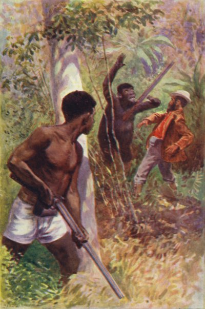 Ilustracja do The Gorilla Hunters autorstwa RM Ballantyne (kolor lito) autorstwa William Henry Charles Groome