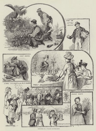 Szkice na wiejskim pokazie kwiatów autorstwa William Henry Charles Groome