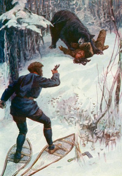 Niedźwiedź stał nad nim, trzymając jedną rękę w pysku autorstwa William Henry Charles Groome