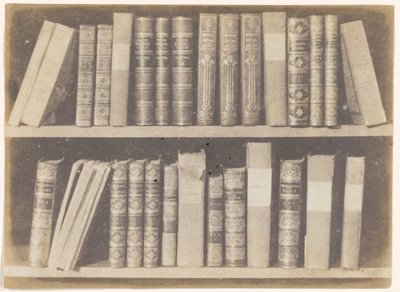 Scena w Bibliotece, płyta VIII z Ołówka natury autorstwa William Henry Fox Talbot