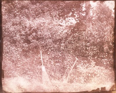 Miotła i łopata, 1842 autorstwa William Henry Fox Talbot