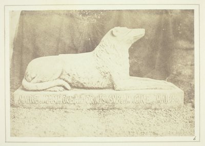 Podobizna ulubionego psa Sir W. Scotta, Maida, przy drzwiach holu w Abbotsford autorstwa William Henry Fox Talbot