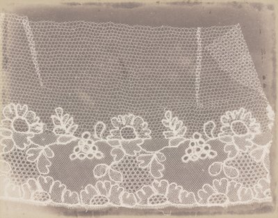 Sznurówka autorstwa William Henry Fox Talbot
