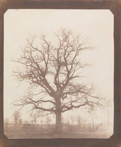  autorstwa William Henry Fox Talbot