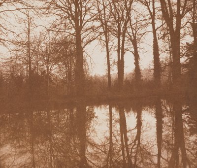 Refleksje, 1843 (zdjęcie w sepii) autorstwa William Henry Fox Talbot