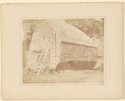 Stóg siana autorstwa William Henry Fox Talbot