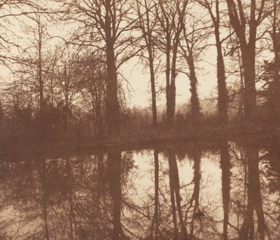 Zimowe drzewa odbite w stawie autorstwa William Henry Fox Talbot