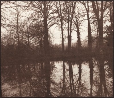 Zimowe drzewa odbite w stawie autorstwa William Henry Fox Talbot