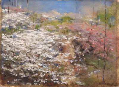 Pole kwiatów autorstwa William Henry Holmes