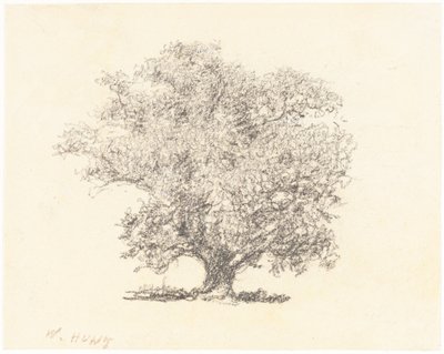 Drzewo w pełnym liściu autorstwa William Henry Hunt