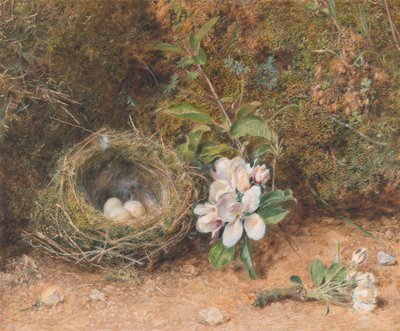 Ptasie Gniazdo z Sprayem Kwiatów Jabłoni autorstwa William Henry Hunt