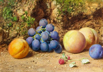 Czarne winogrona, brzoskwinie, morele i maliny, ok. 1860 r. autorstwa William Henry Hunt