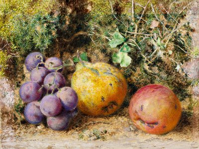 Czarne winogrona, pigwa i Newtown Pippin, 1861 (wc na karcie) autorstwa William Henry Hunt