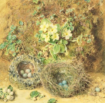 Pierwiosnki i ptasie gniazda autorstwa William Henry Hunt