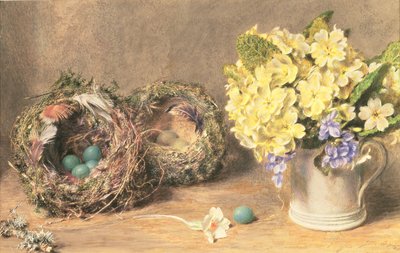 Wiosenne kwiaty i ptasie gniazda, ok. 1830 r. (akwarela i kolor nadwozia na papierze) autorstwa William Henry Hunt