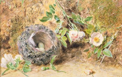 Martwa natura z ziębą gniazdową autorstwa William Henry Hunt