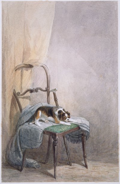 Badanie psa na krześle (akwarela na papierze) autorstwa William Henry Hunt