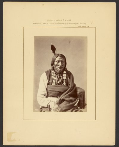 [Szarża na Hauk - (Brulé Dakota)] autorstwa William Henry Jackson