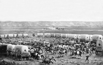 Woły zaprzęgnięte w zagrodzie krytych wozów na obrazie W.H. Jacksona, Scotts Bluff, Nebraska: 1875 autorstwa William Henry Jackson