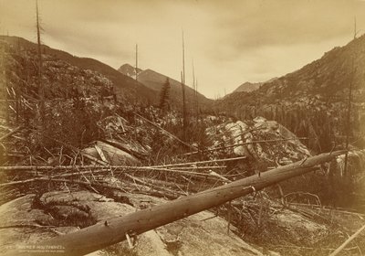  autorstwa William Henry Jackson