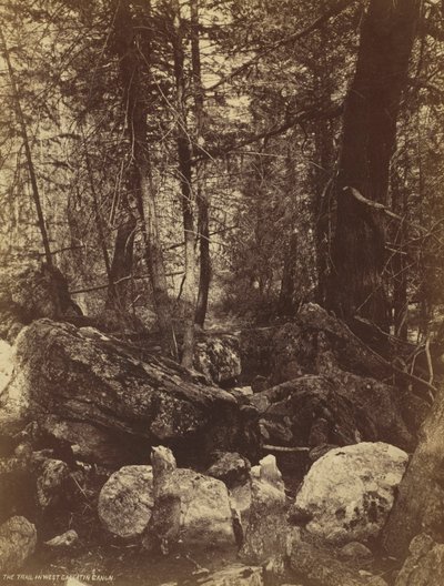 Szlak w West Gallatin Canon, ok. godz. 1870. autorstwa William Henry Jackson