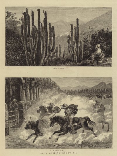 Na chilijskim rodeo, III autorstwa William Henry James Boot
