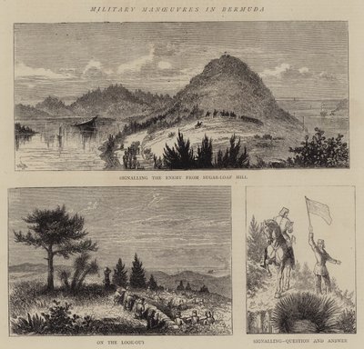 Manewry wojskowe na Bermudach autorstwa William Henry James Boot