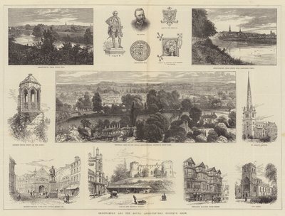 Shrewsbury i pokaz Królewskiego Towarzystwa Rolniczego autorstwa William Henry James Boot