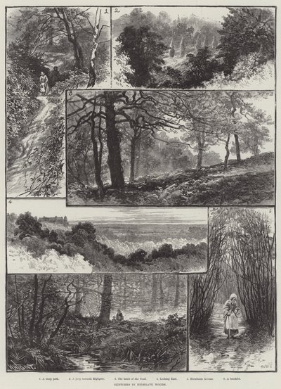 Szkice w Highgate Woods autorstwa William Henry James Boot