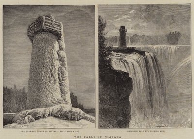 Wodospady Niagara autorstwa William Henry James Boot