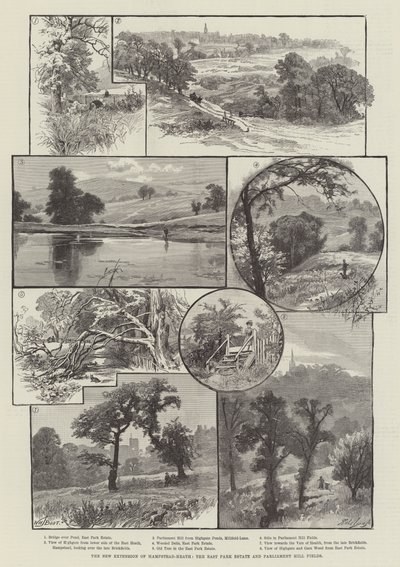 Nowe poszerzenie Hampstead-Heath, osiedle East Park i Parliament Hill Fields autorstwa William Henry James Boot